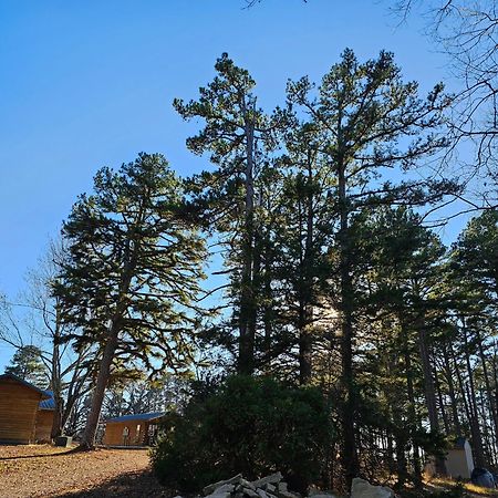 5 Min To Beaver Lake-King Bed-Fire Pit-Jetted Tub #4 Eureka Springs Dış mekan fotoğraf