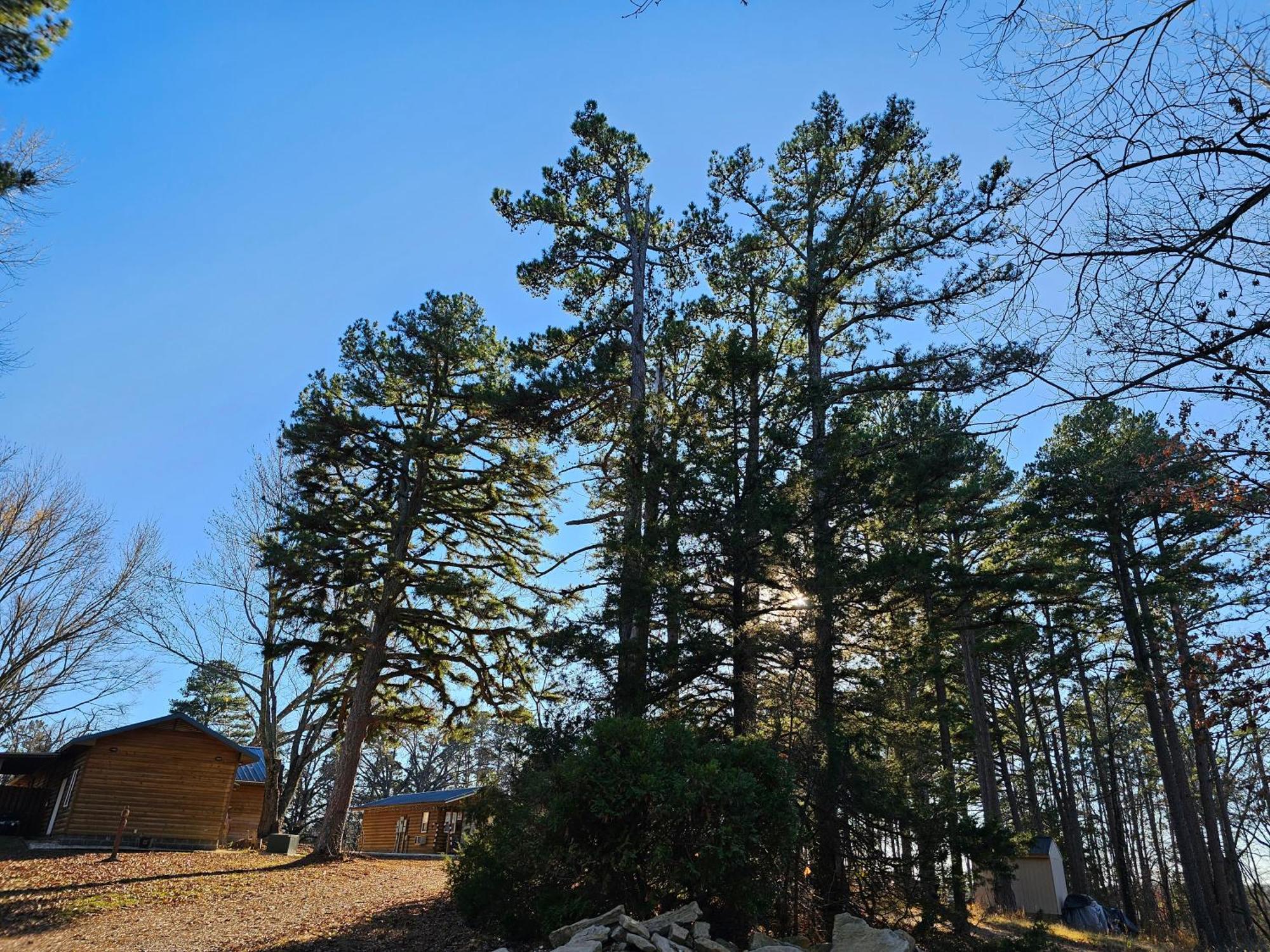 5 Min To Beaver Lake-King Bed-Fire Pit-Jetted Tub #4 Eureka Springs Dış mekan fotoğraf